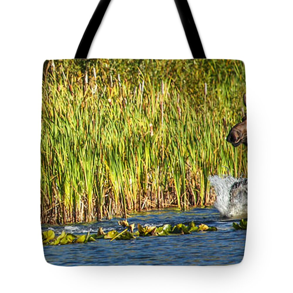 Moose Tote Bag featuring the photograph Casey's Moose by Kevin Dietrich