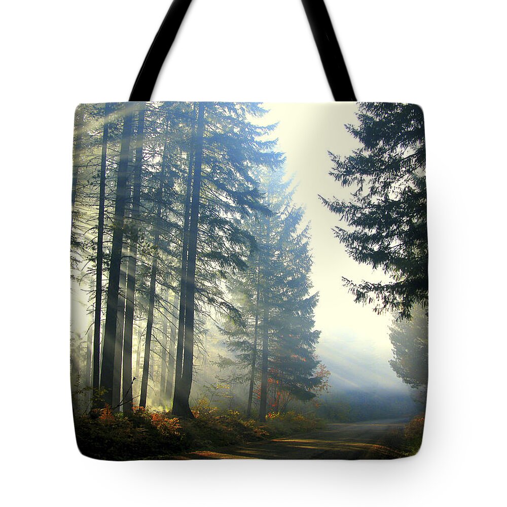 Light Rays Tote Bag featuring the photograph Union Creek Oregon Prescribed Burn by Diane Schuster