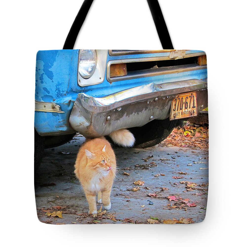 Animals Tote Bag featuring the photograph Cat and 1967 Chevy by Mary Lee Dereske