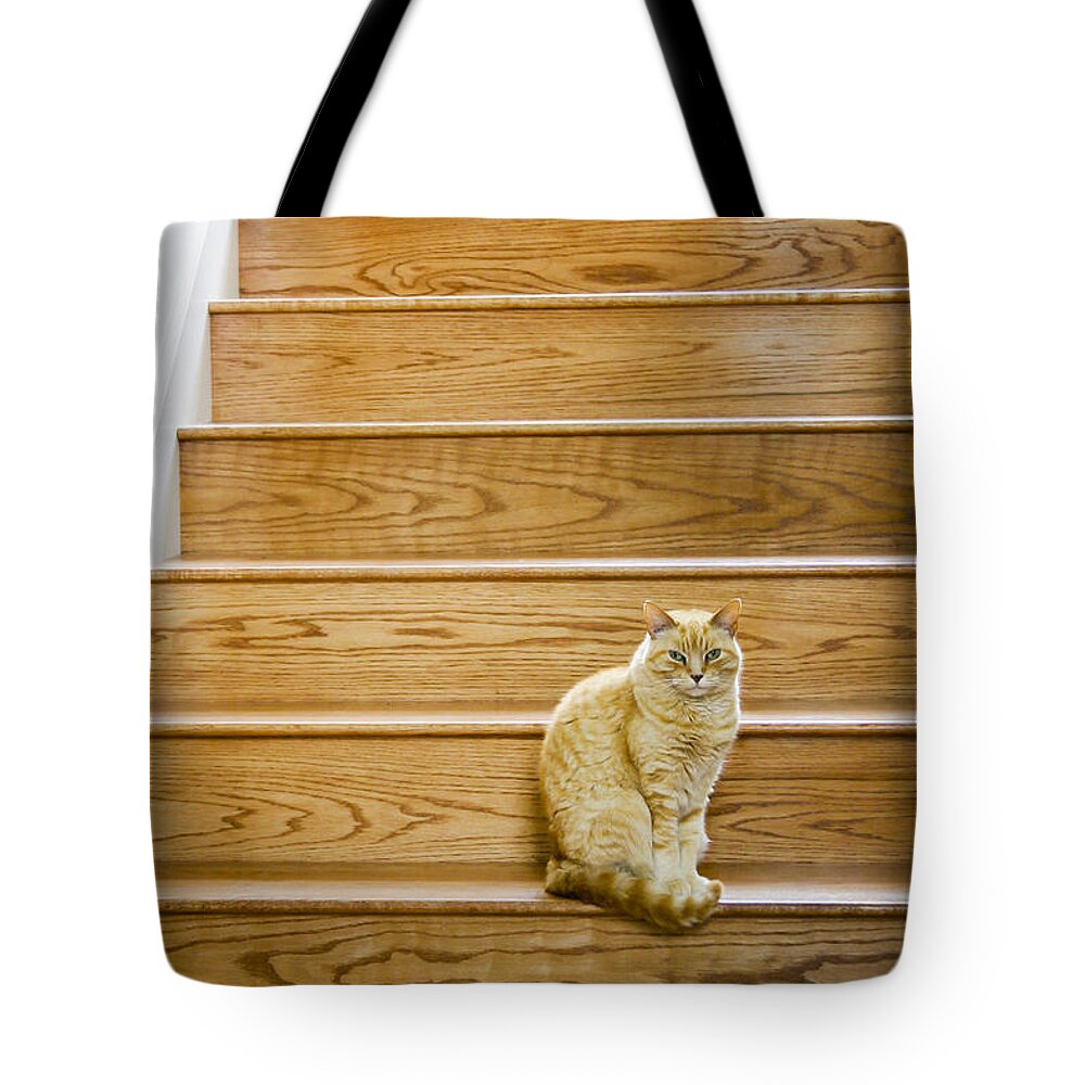 Cat Tote Bag featuring the photograph Cat on Stairs by Patty Colabuono