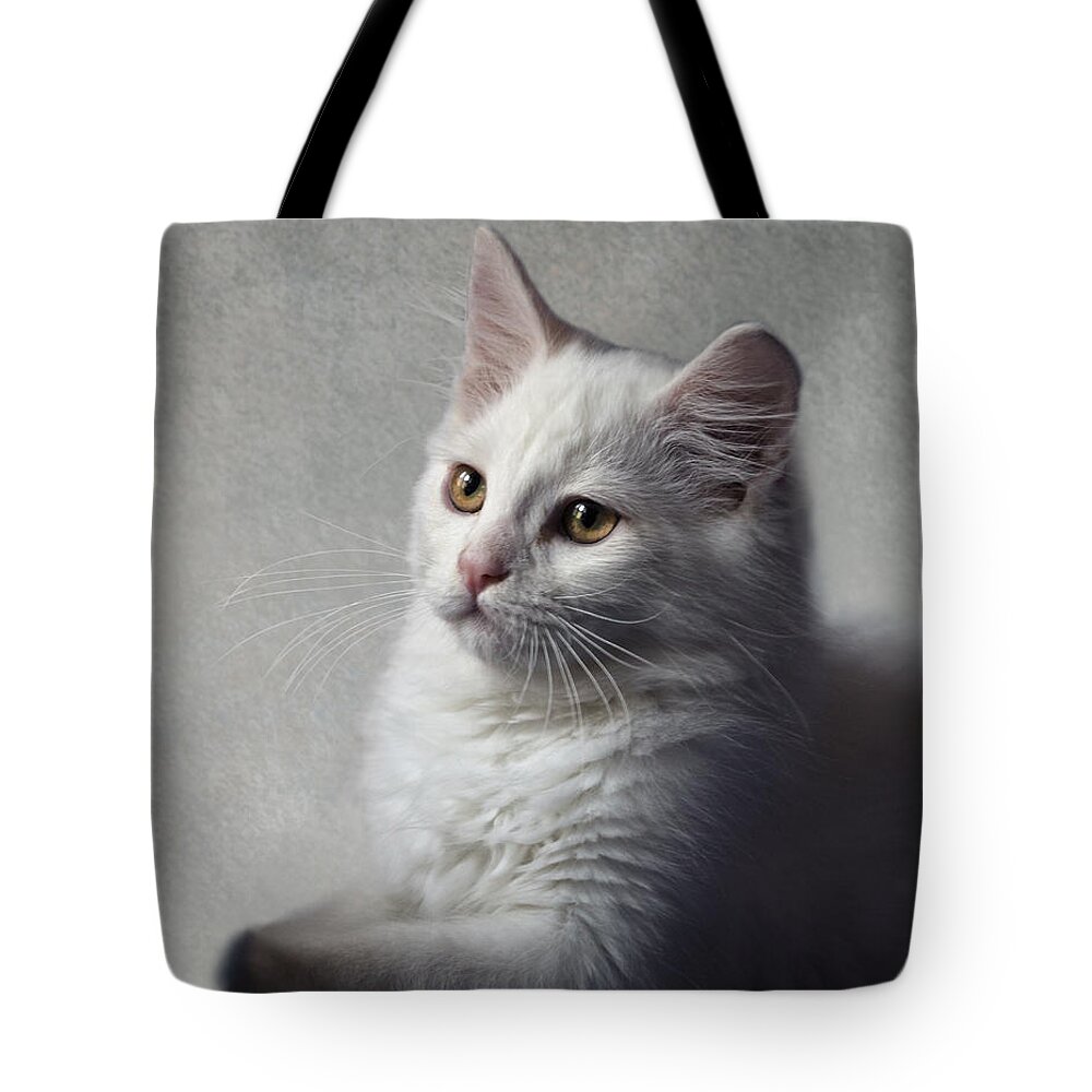 Cat Tote Bag featuring the photograph Cat on texture - 02 by Raffaella Lunelli