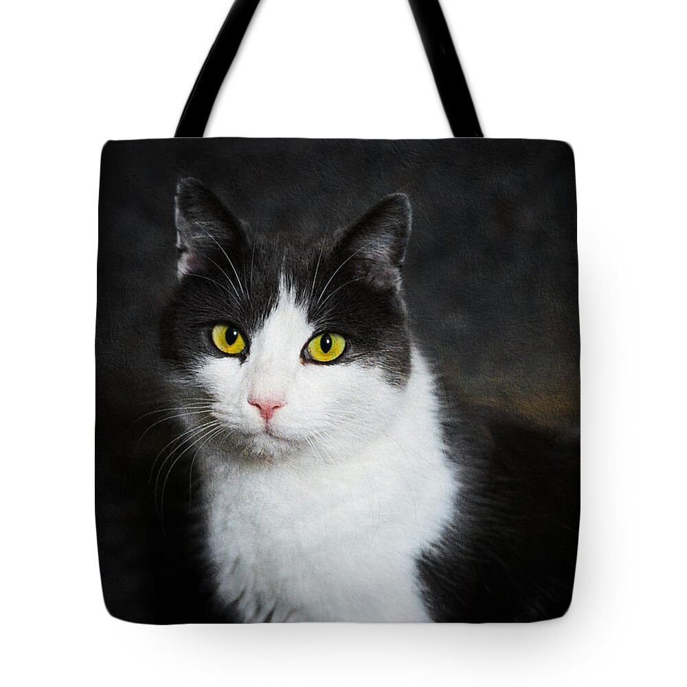 Cat Tote Bag featuring the photograph Cat portrait with texture by Matthias Hauser