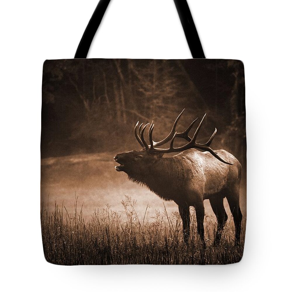 Carol R Montoya Tote Bag featuring the photograph Cataloochee Bull Elk in Sepia by Carol Montoya