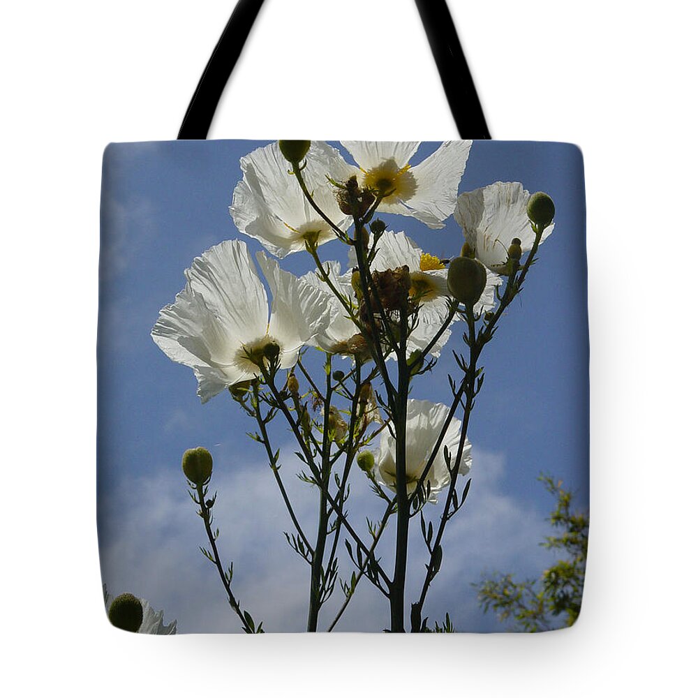 Flower Tote Bag featuring the photograph Catching Sunlight by Noa Mohlabane