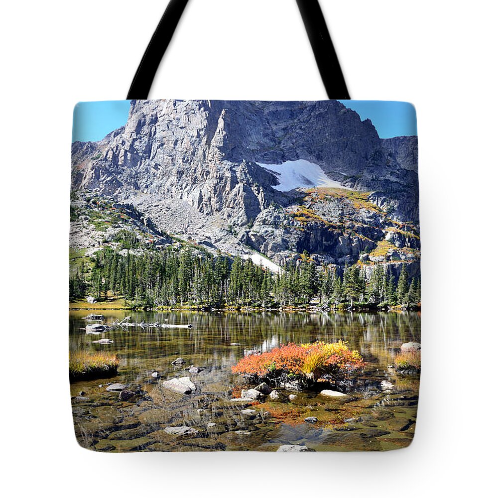 Vertical Tote Bag featuring the photograph Cathedral in the Park-V by Tranquil Light Photography