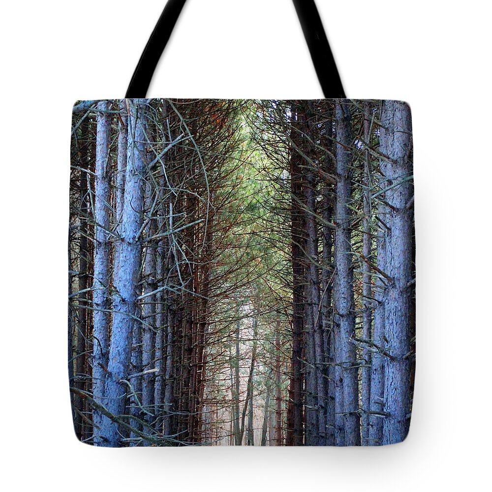 Pines Tote Bag featuring the photograph Cathedral of Pines by David T Wilkinson