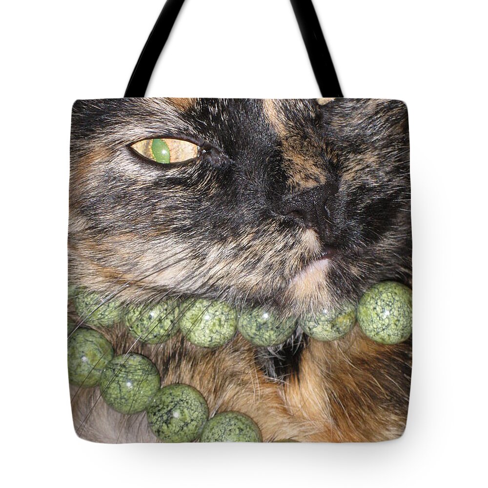 Cat Tote Bag featuring the photograph Cat's Fashion Day by Oksana Semenchenko