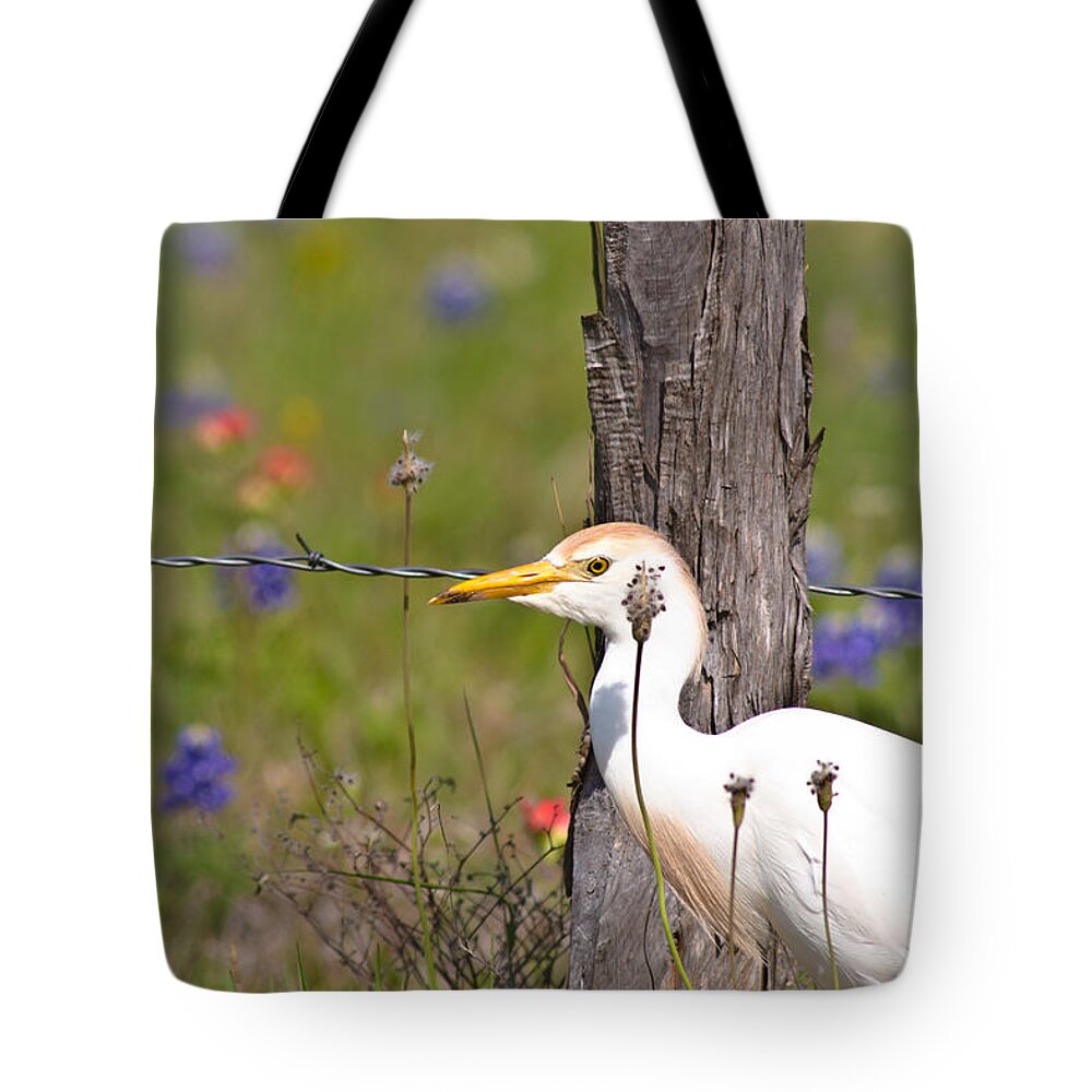 Animal Tote Bag featuring the photograph Cattle Egret At Fenceline by Robert Frederick