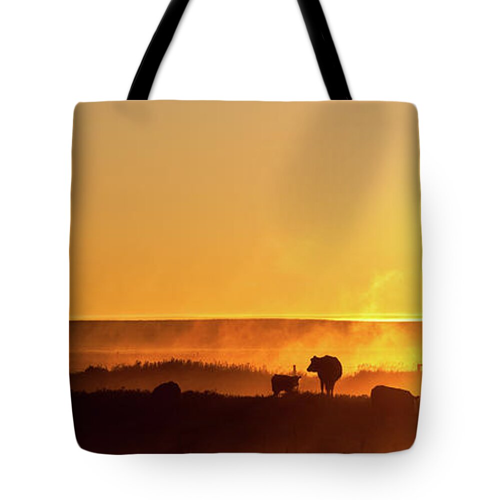 Scenics Tote Bag featuring the photograph Cattle Silhouette Panorama by Imaginegolf
