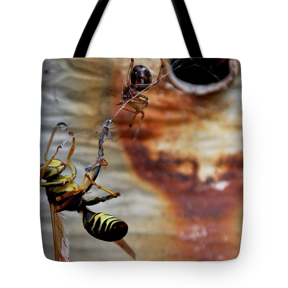 Becky Furgason Tote Bag featuring the photograph #caught by Becky Furgason