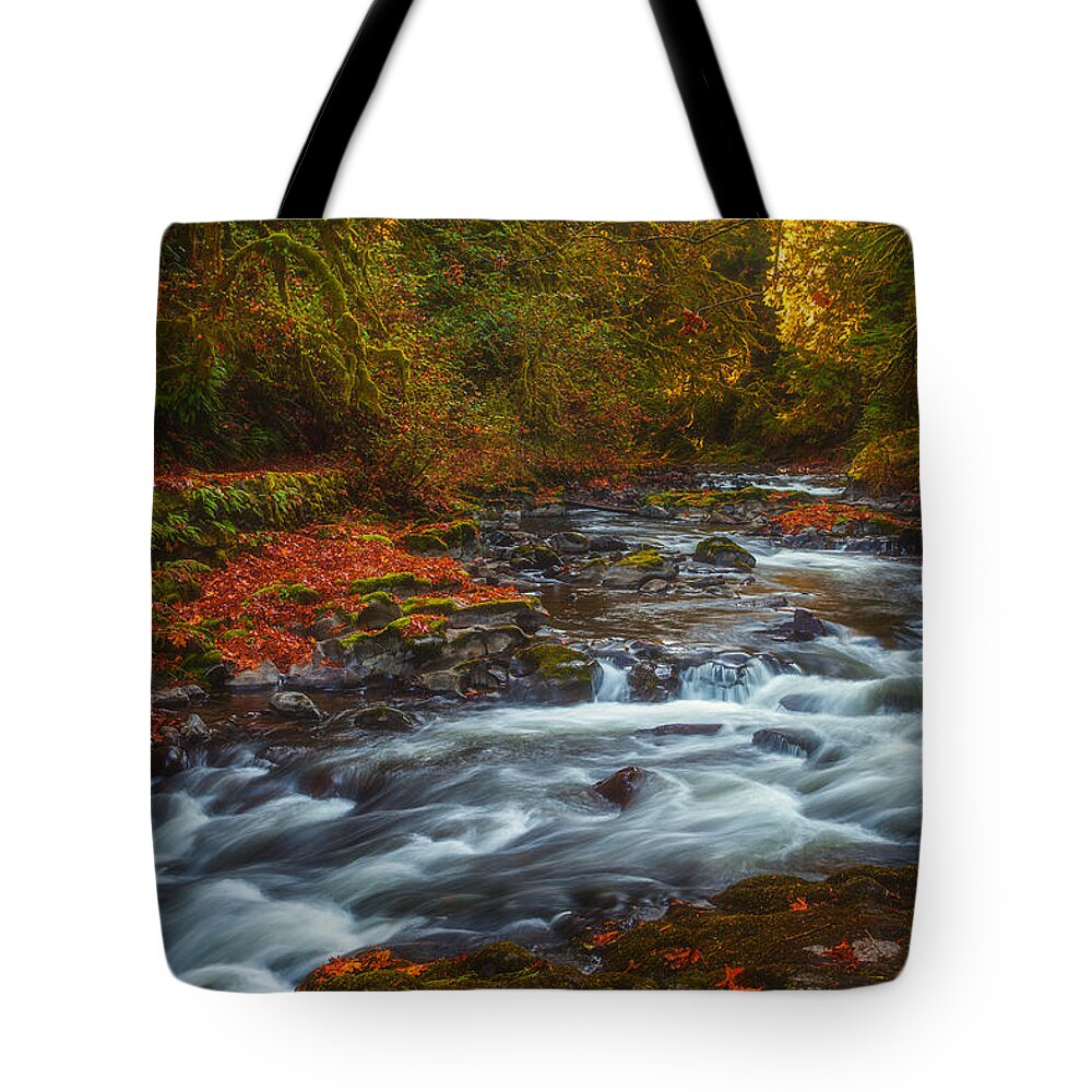Creek Tote Bag featuring the photograph Cedar Creek Morning by Darren White