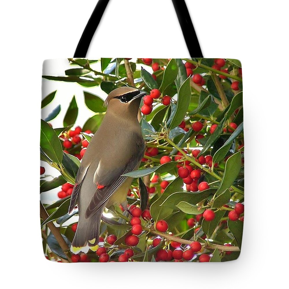Bird Tote Bag featuring the photograph Cedar Waxwing by Kelly Nowak