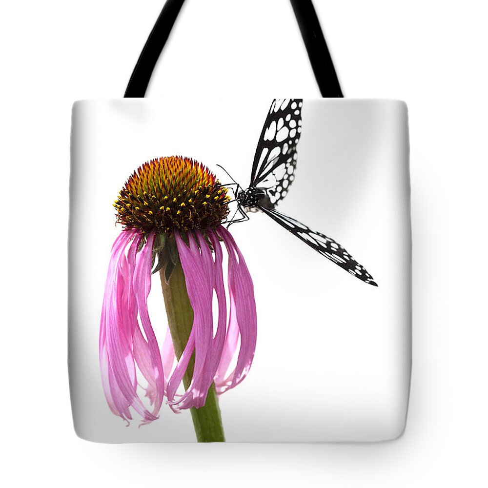 Butterfly Tote Bag featuring the photograph Celebration by Patty Colabuono