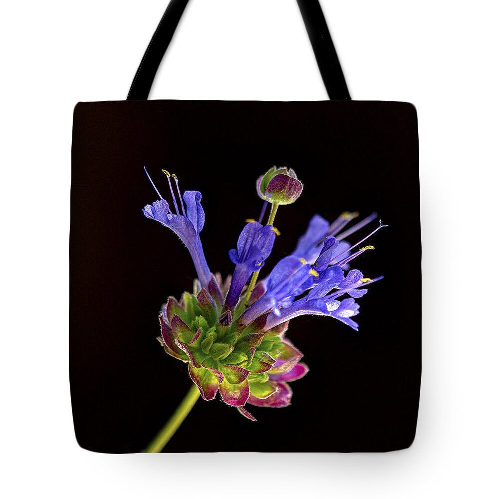 Celestial Blue Salvia Tote Bag featuring the photograph Celestial Blue Salvia by Joe Schofield