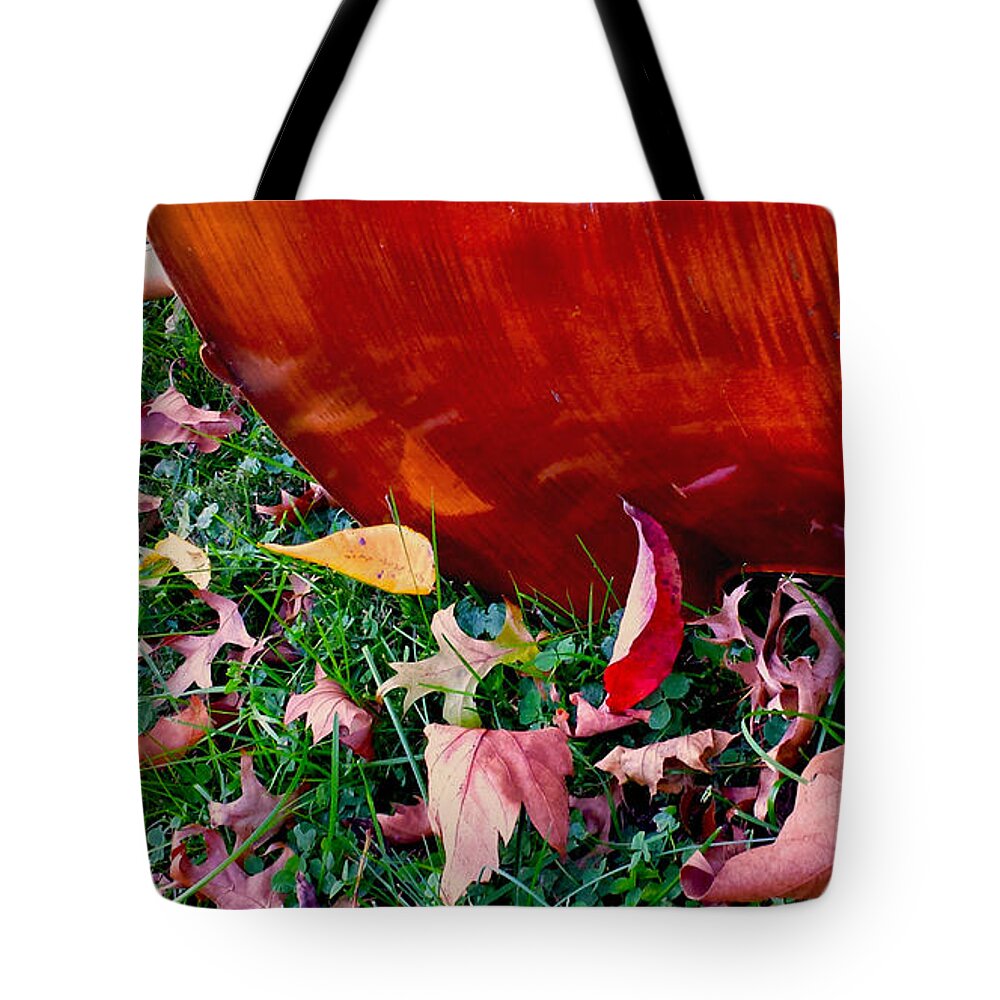 Cello Tote Bag featuring the photograph Cello in Autumn by Anna Lisa Yoder