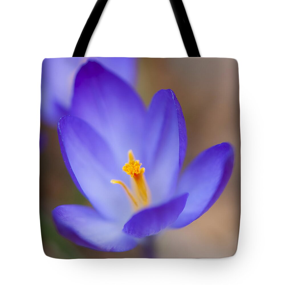 Crocus Tote Bag featuring the photograph Center Of Attention by Jean-Pierre Ducondi