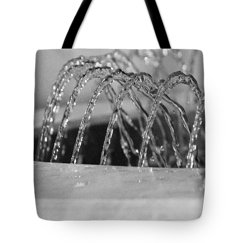 Water Tote Bag featuring the photograph Centipede by Eileen Gayle