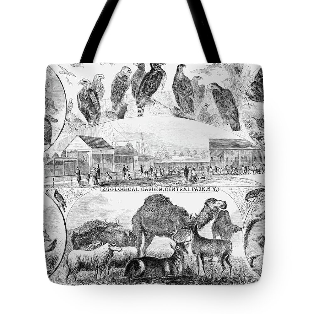 1866 Tote Bag featuring the painting Central Park Zoo, 1866 by Granger