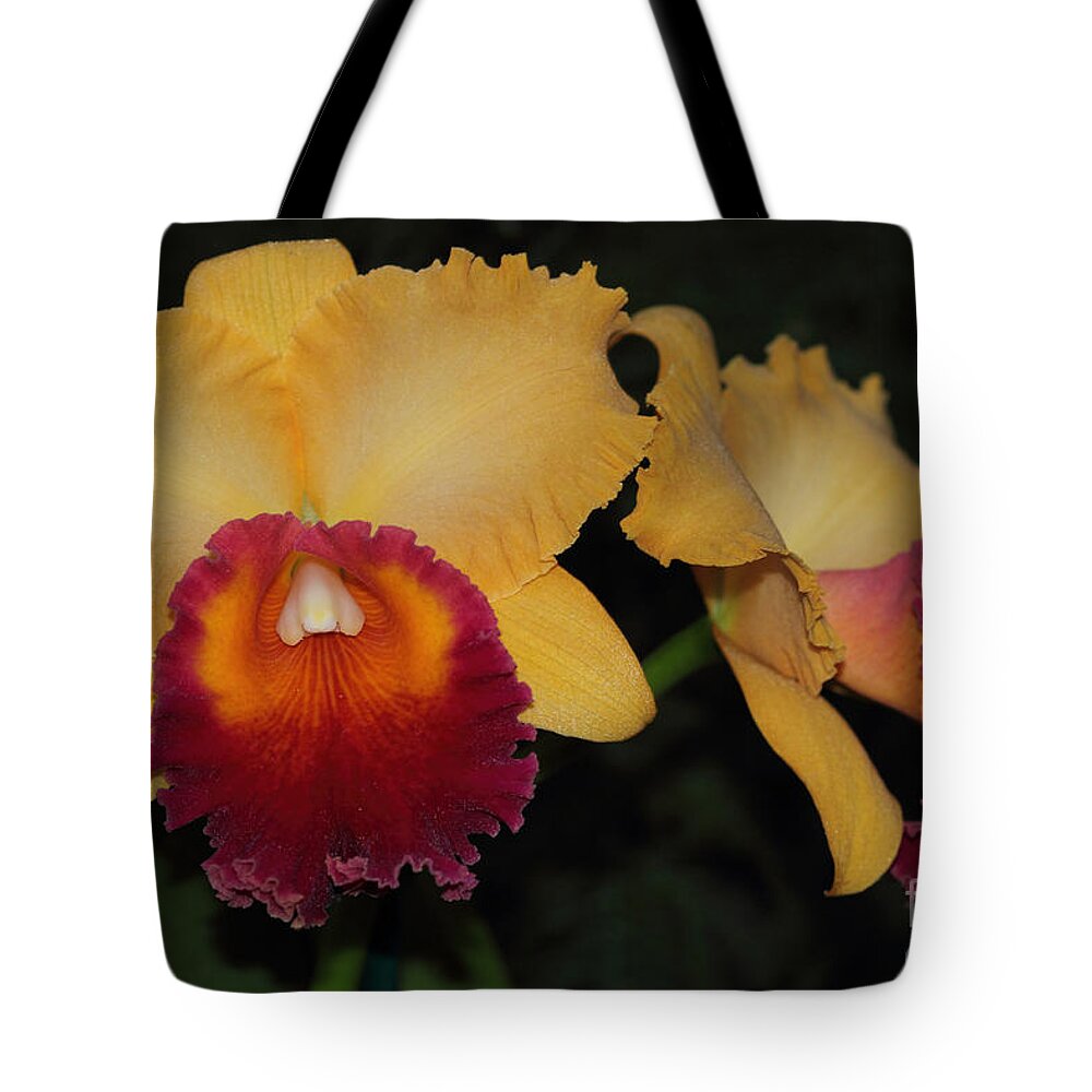 Chan Hsiu Gold Tote Bag featuring the photograph Chan Hsiu Gold by Meg Rousher
