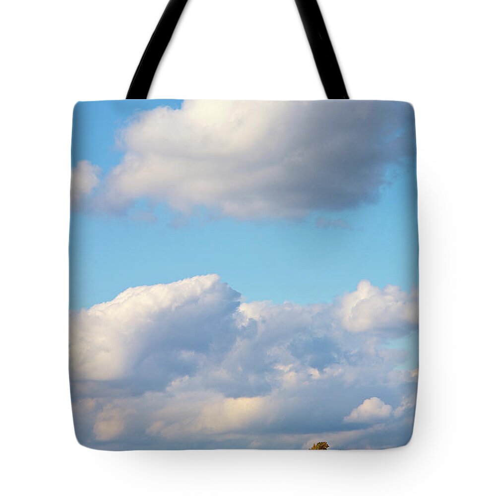 Tranquility Tote Bag featuring the photograph Changing Fall Trees On A Hilltop by Matt Champlin