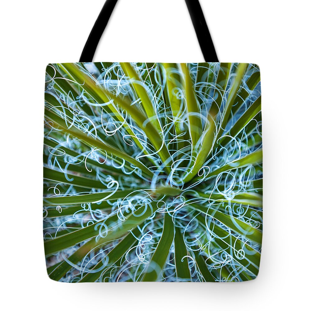 Nature Tote Bag featuring the photograph Chaos by Jonathan Nguyen