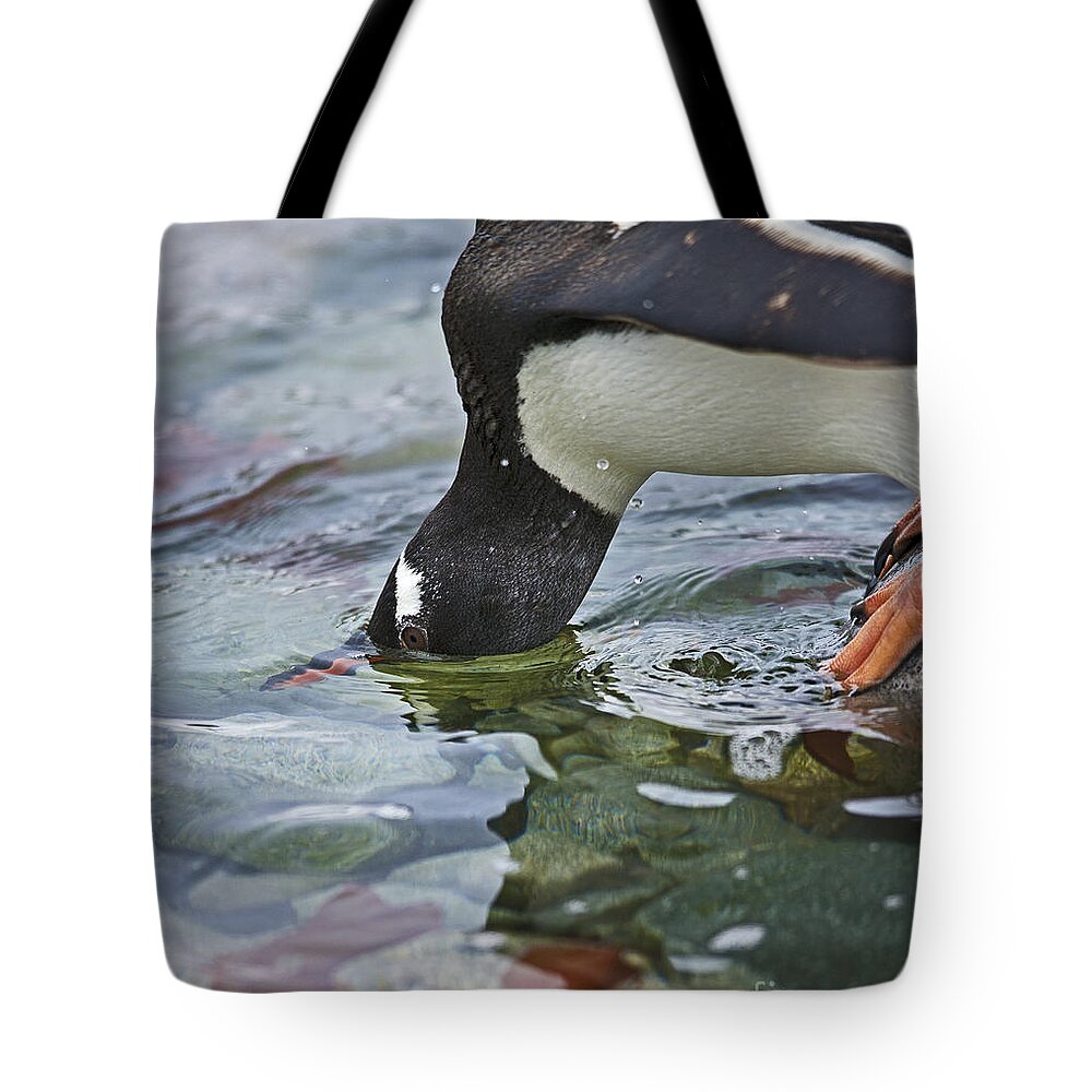 Festblues Tote Bag featuring the photograph Checking for Orca... by Nina Stavlund