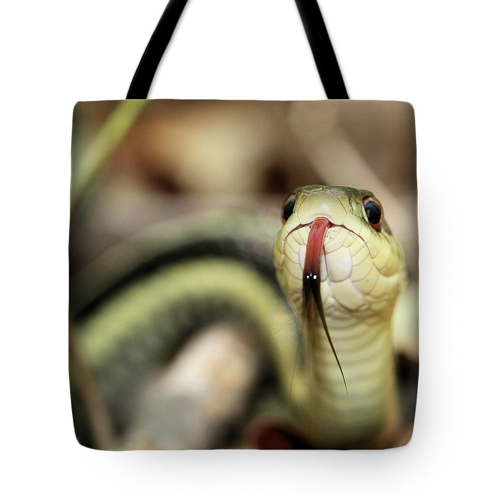 Garter Snake Tote Bag featuring the photograph Checking Me Out by Doris Potter
