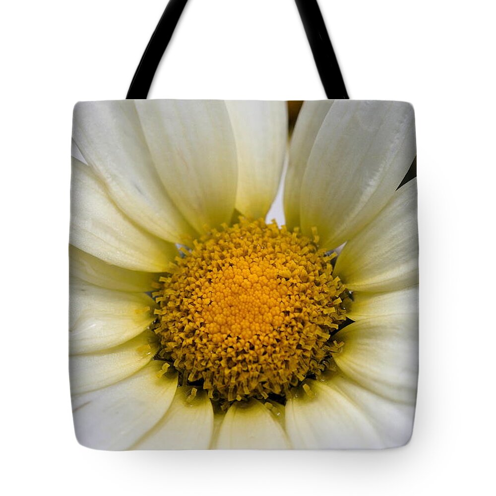 Flower Tote Bag featuring the photograph Cheery Daisy by Angela Rath