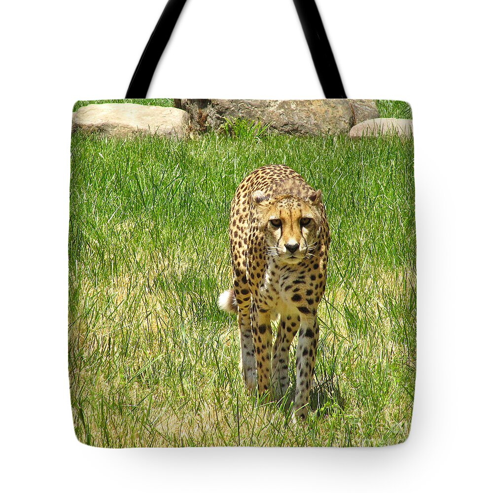Cml Brown Tote Bag featuring the photograph Cheetah Approaching by CML Brown