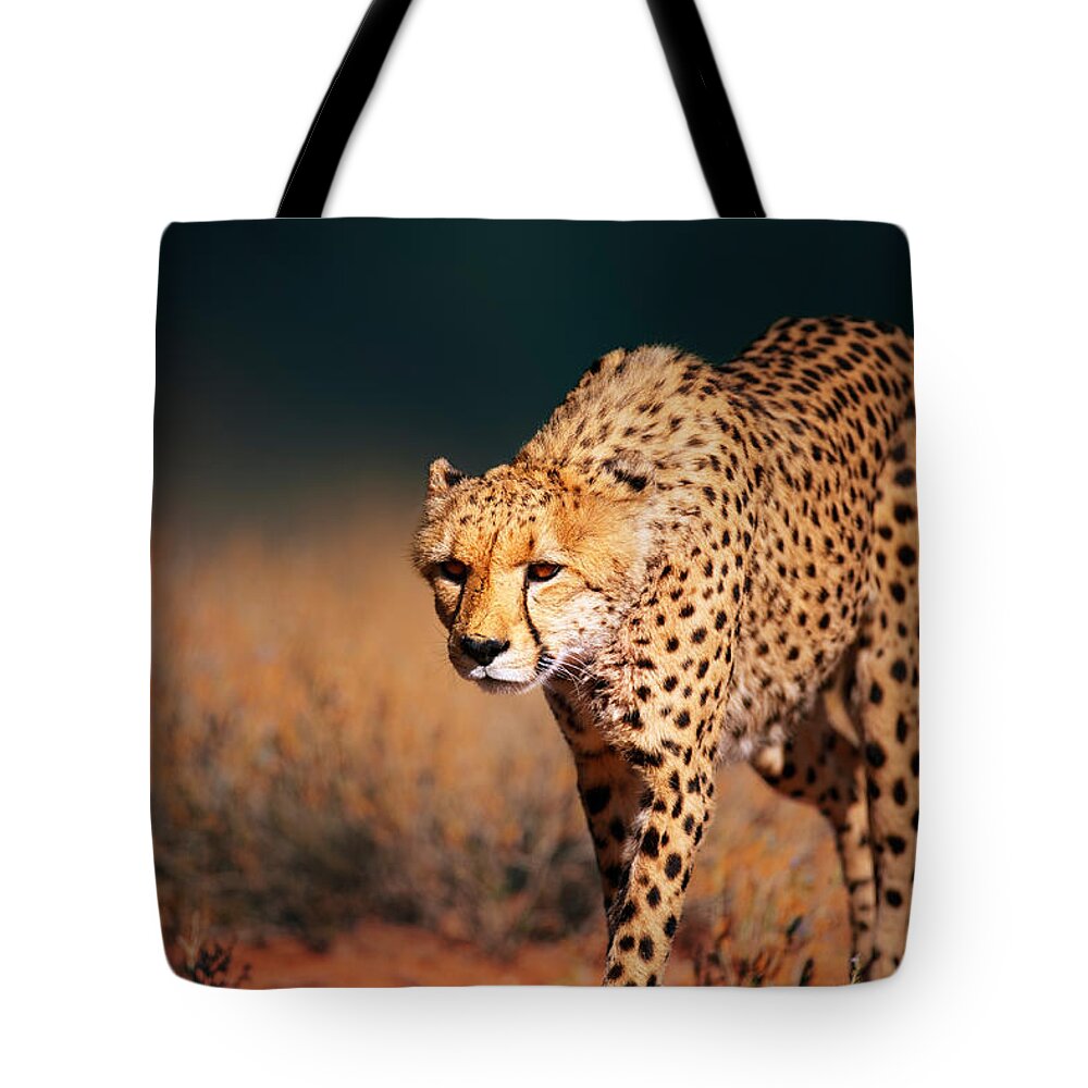 #faatoppicks Tote Bag featuring the photograph Cheetah approaching from the front by Johan Swanepoel