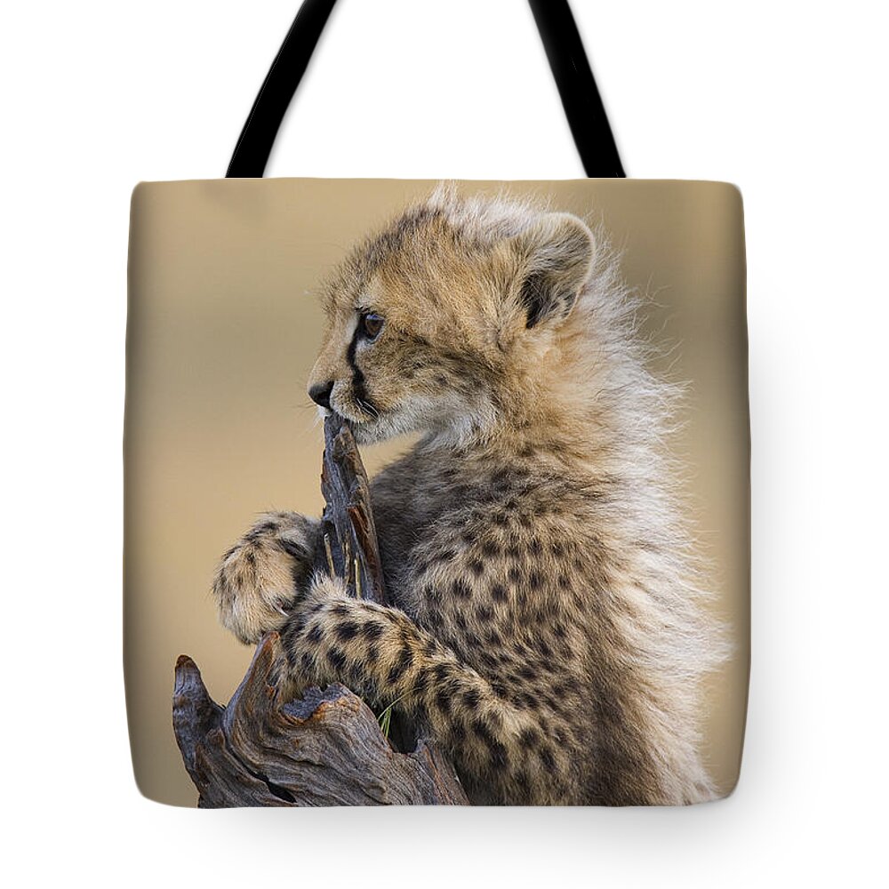 Suzi Eszterhas Tote Bag featuring the photograph Cheetah Cub Maasai Mara Reserve by Suzi Eszterhas