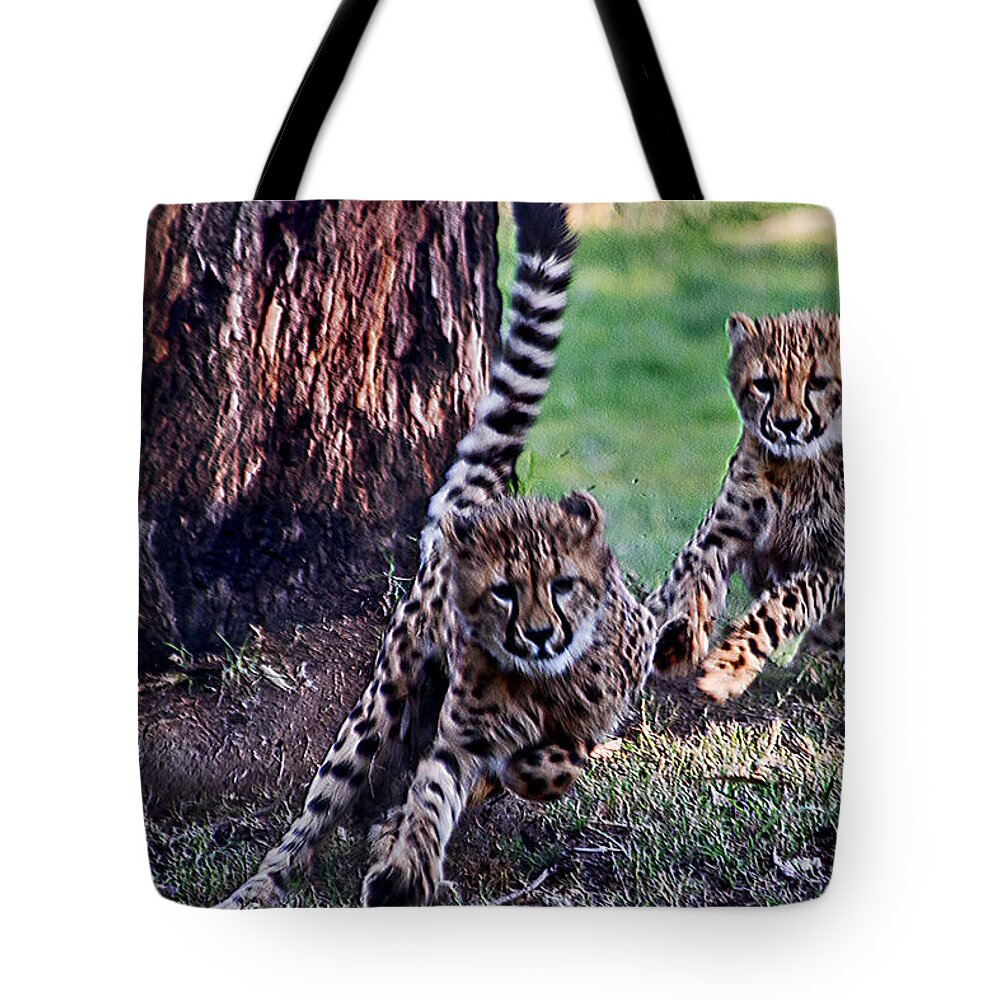 #cheetah Tote Bag featuring the photograph Cheetah Cubs by Miroslava Jurcik