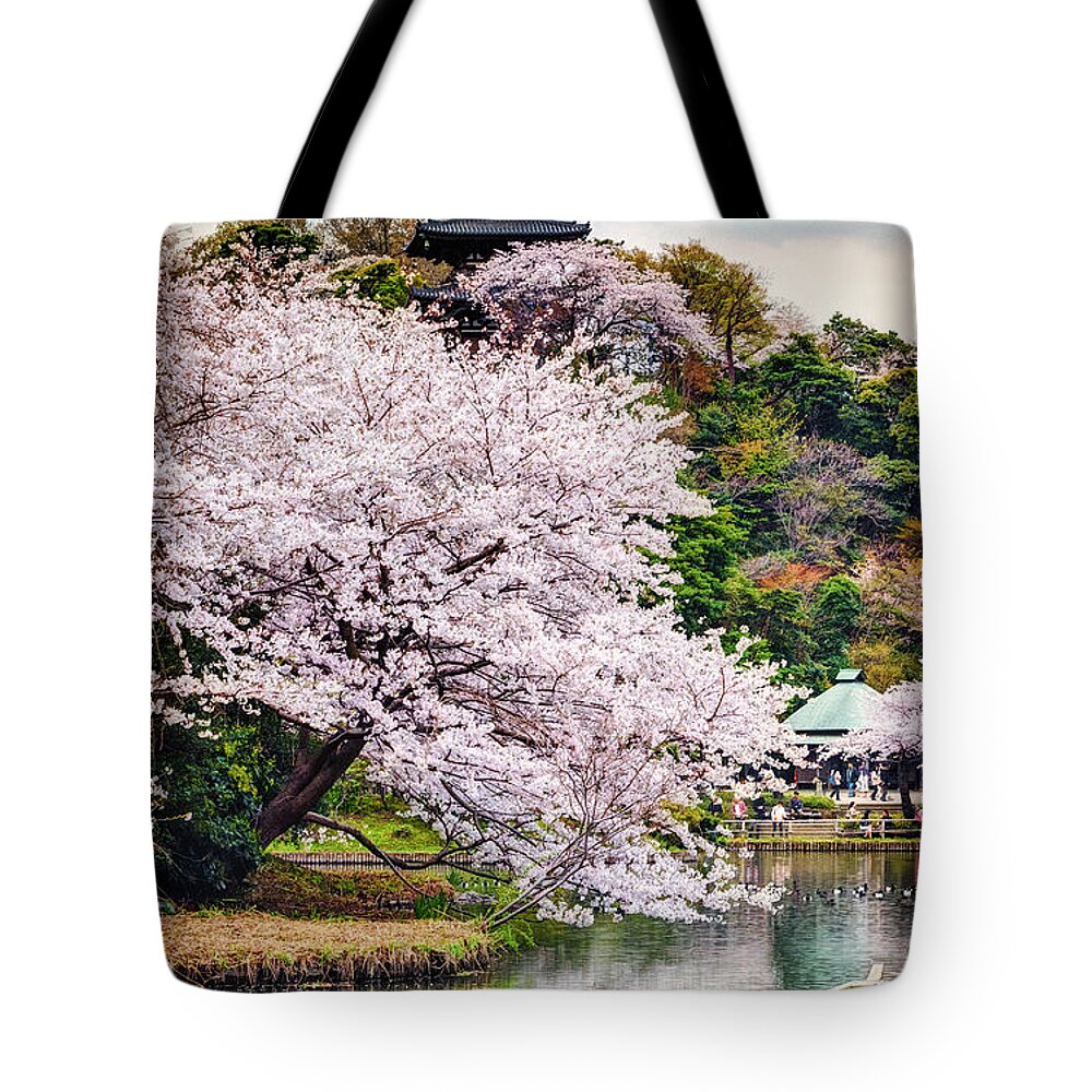 Flower Spring Cherry Blossom Nature Cherry Tree Pink Background Blossom Plant Japan Bloom Beauty Season Illustration Garden Japanese Floral Petal Vector Grass Green Sakura Pattern Beautiful Branch Decoration Flora April Summer Senior Vacation Couple Retired Recreation Man Woman Summer Travel White Pension Happy Fun Live Relax Aged Old-timer Beach Outdoors Old Nature Common People Retirement Older Liberty Romantic Sea Activity Sun Tote Bag featuring the photograph Cherry Blossom 2014 by John Swartz
