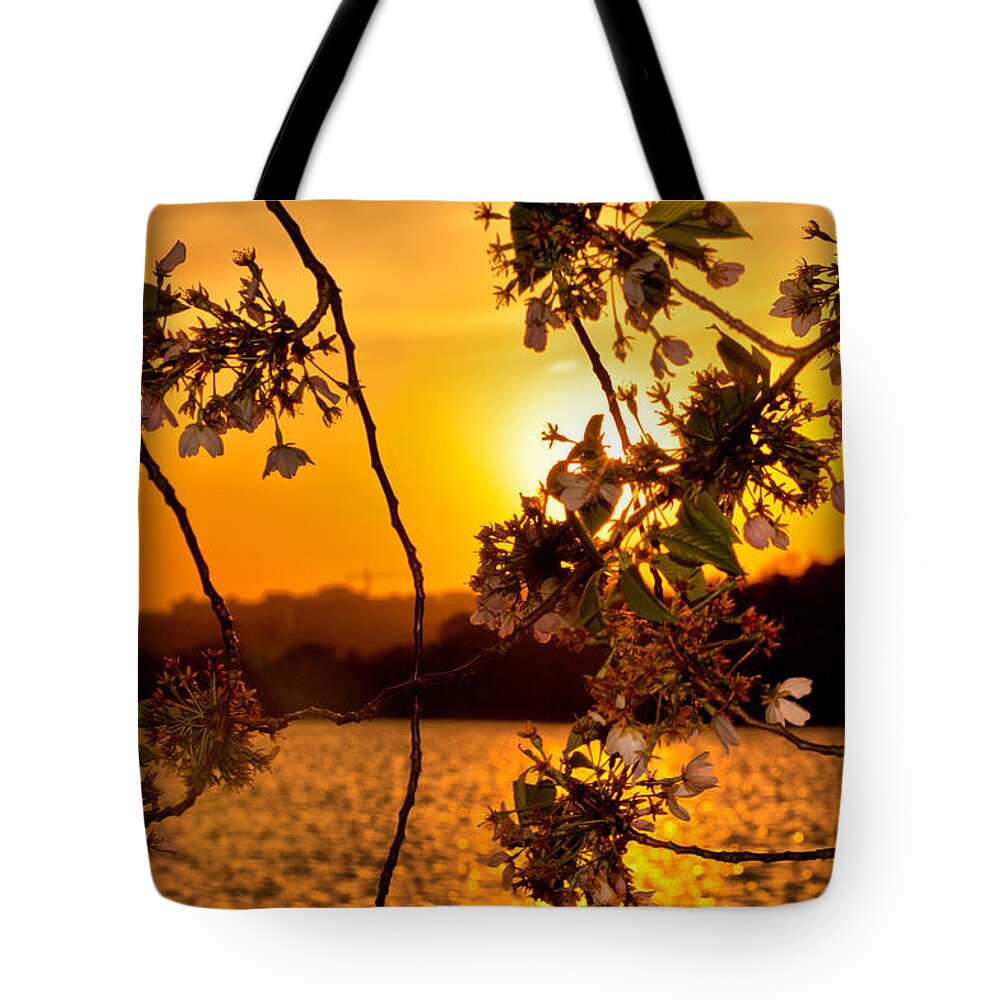America Tote Bag featuring the photograph Cherry Blossom Sunset by Mitchell R Grosky