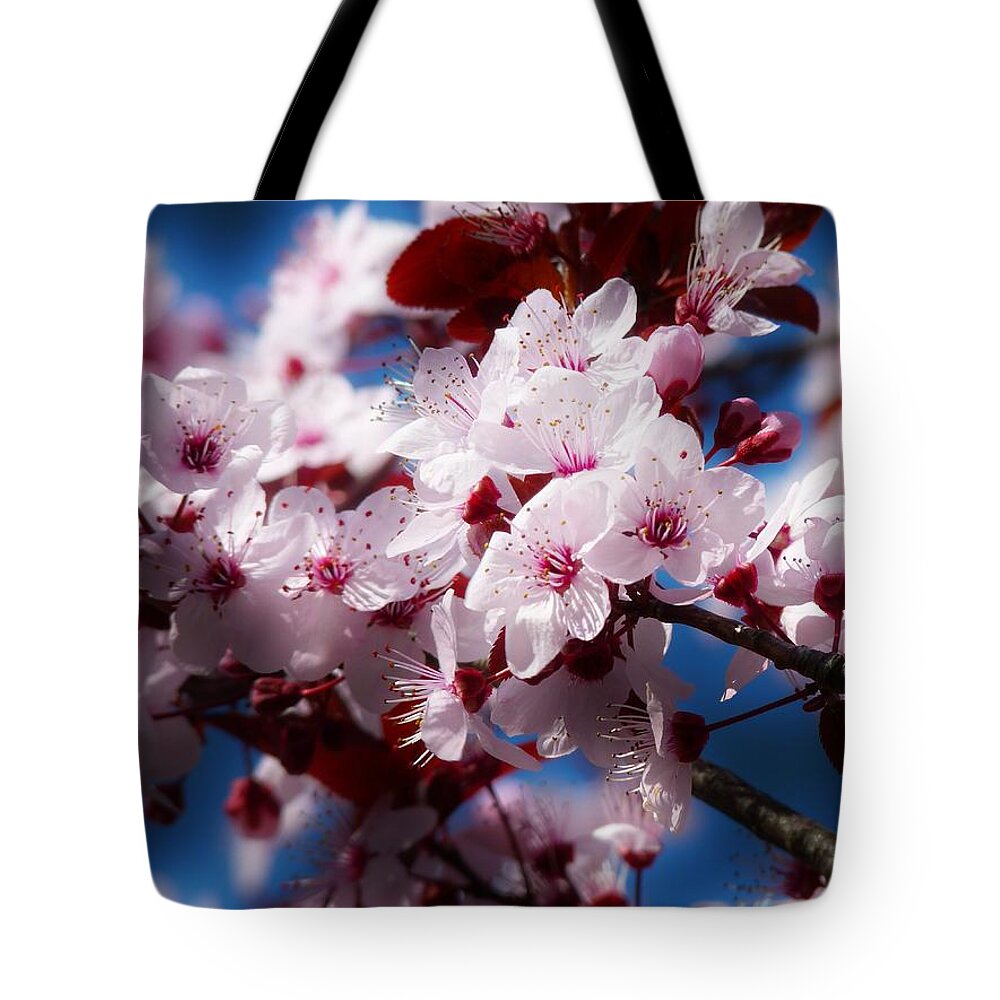 Tree Tote Bag featuring the photograph CHERRY BLOSSOMS - Featured in the Comfortable Art and Nature Photography Groups by Ericamaxine Price