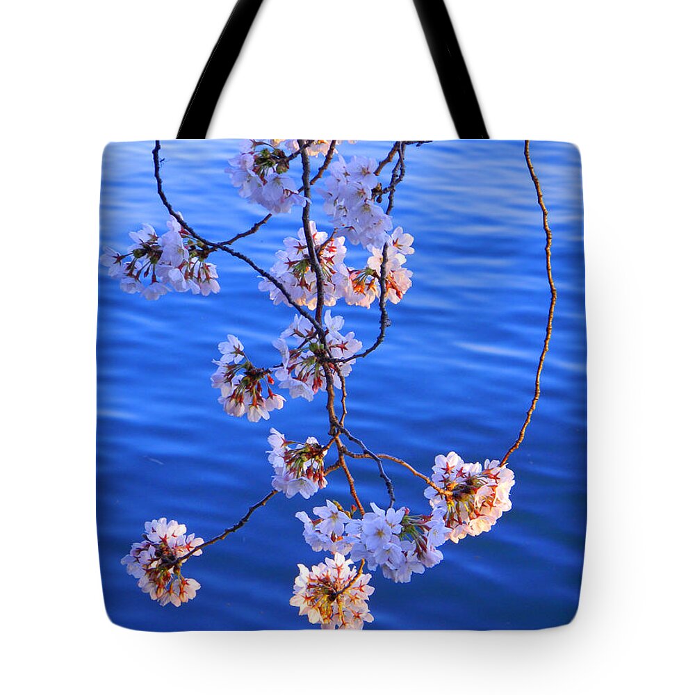 Tidal Basin Tote Bag featuring the photograph Cherry Blossoms Hanging Over Tidal Basin by Emmy Marie Vickers