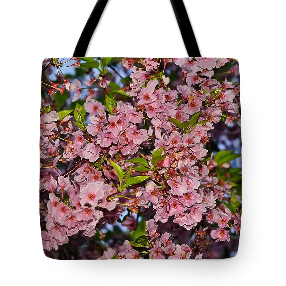 America Tote Bag featuring the photograph Cherry Blossoms in Our Nation's Capital by Mitchell R Grosky
