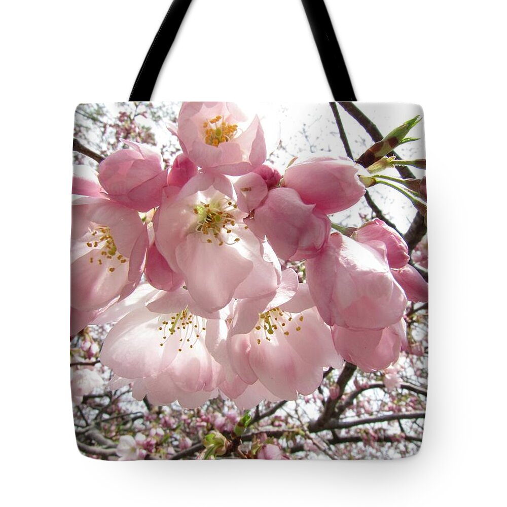 Cherry Tote Bag featuring the photograph Cherry Blossoms by Jennifer Wheatley Wolf