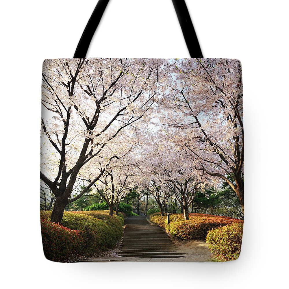 Steps Tote Bag featuring the photograph Cherry Blossoms by Nmt Photography