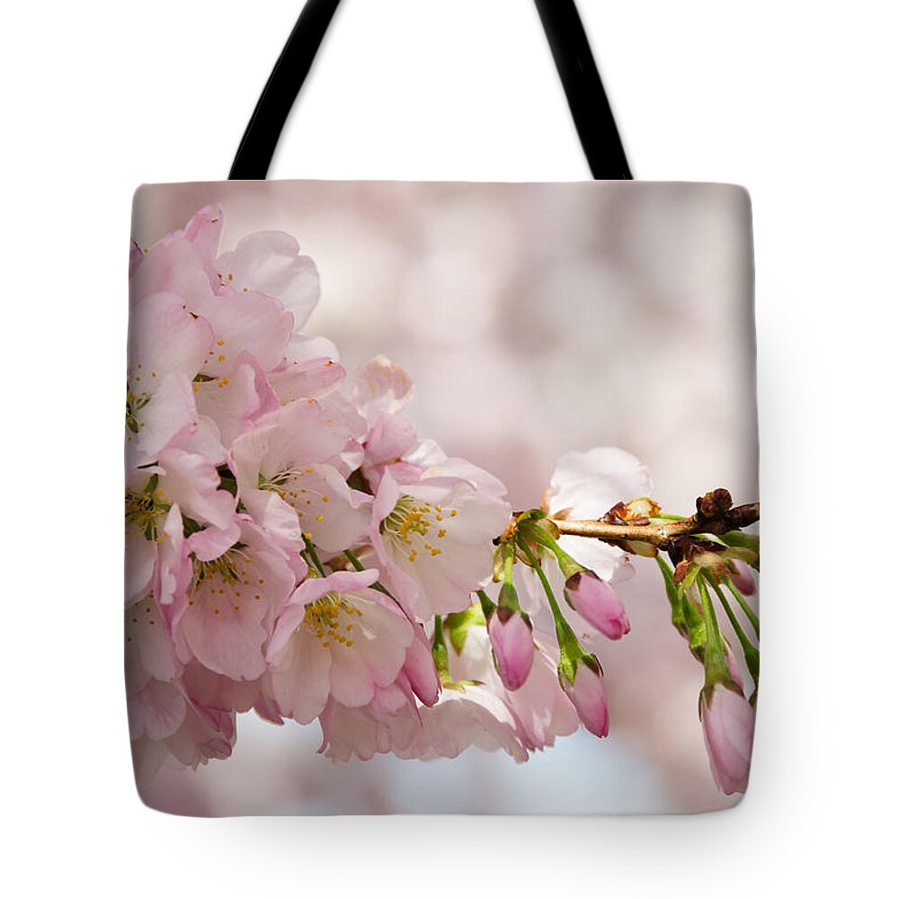 Dc Cherry Blossom Festival Tote Bag featuring the photograph Cherry Blossoms No. 9164 by Georgette Grossman