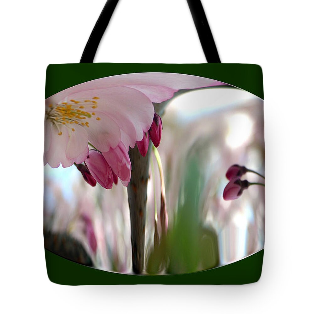 Flowers Tote Bag featuring the photograph Cherry Tree Blossom series 803 by Jim Baker