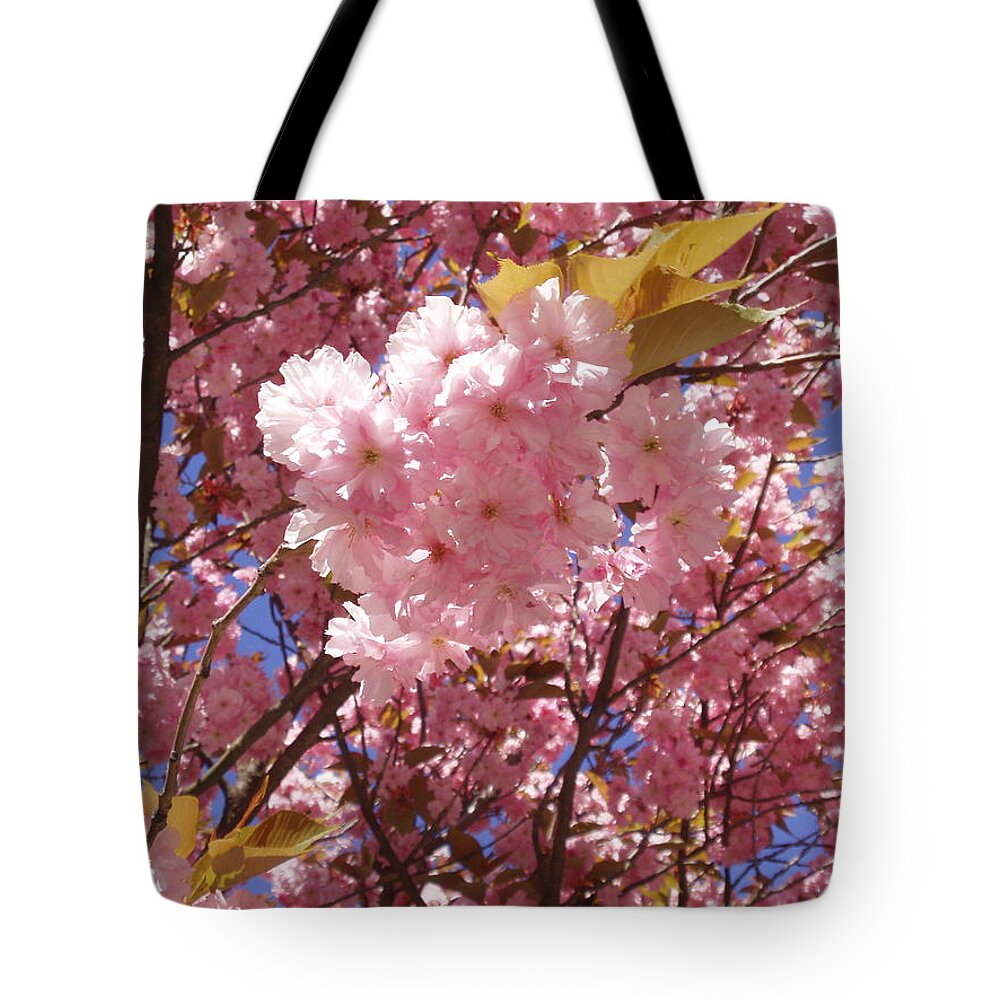 Spring In The City Tote Bag featuring the photograph Cherry trees blossom by Rosita Larsson
