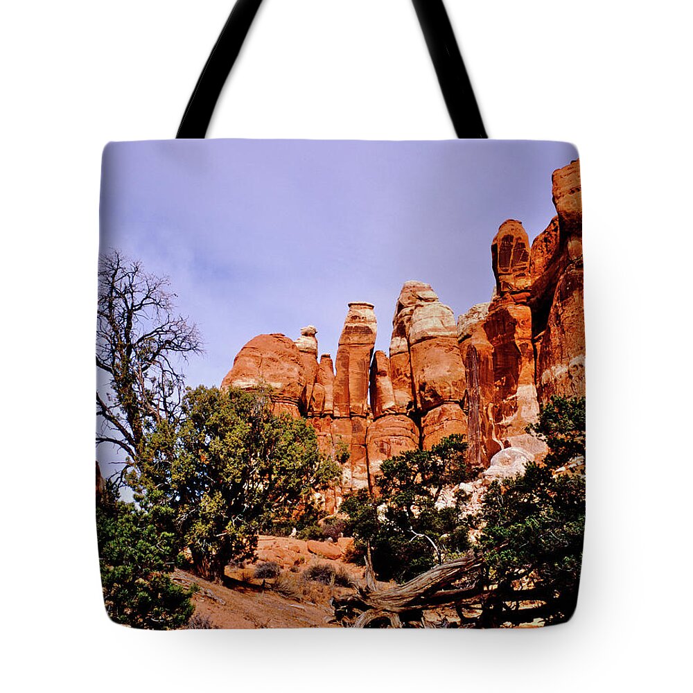 Canyonlands National Park Tote Bag featuring the photograph Chesler Park Pinnacles by Ed Riche