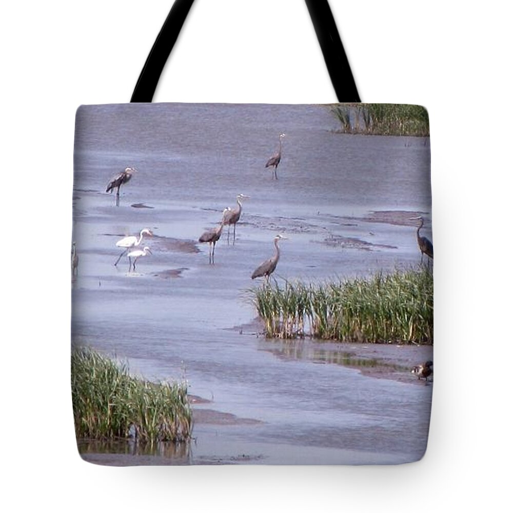 Kansas Tote Bag featuring the photograph Cheyenne Bottoms by Keith Stokes