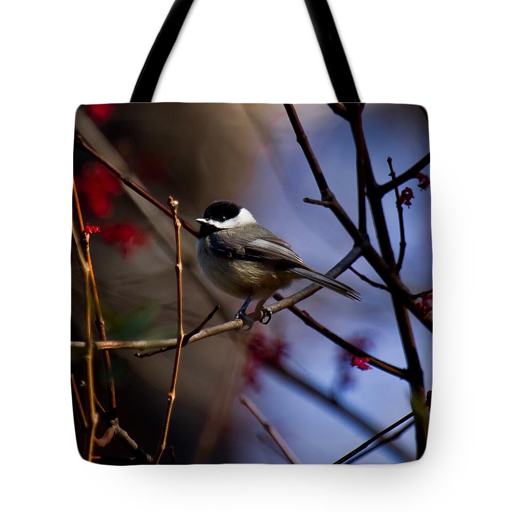 Chickadee Tote Bag featuring the photograph Chickadee by Robert L Jackson