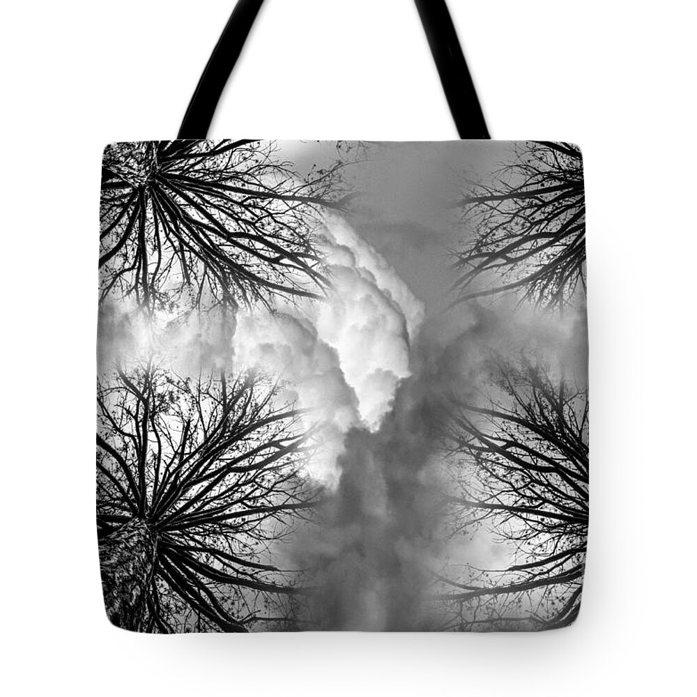 Chicken Little's Nightmare Tote Bag featuring the photograph Chicken Little's Nightmare by Michael Arend