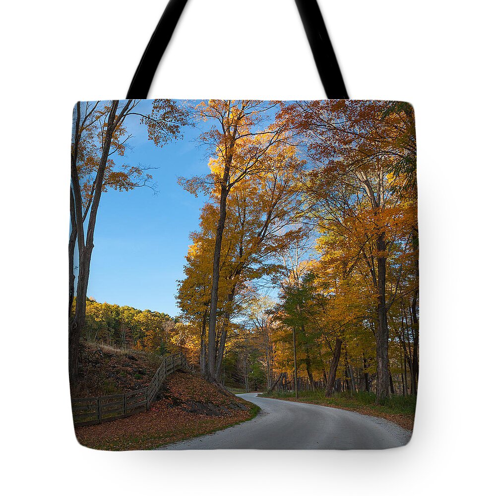 Dirt Road Tote Bag featuring the photograph Chillin' on a Dirt Road Square by Bill Wakeley
