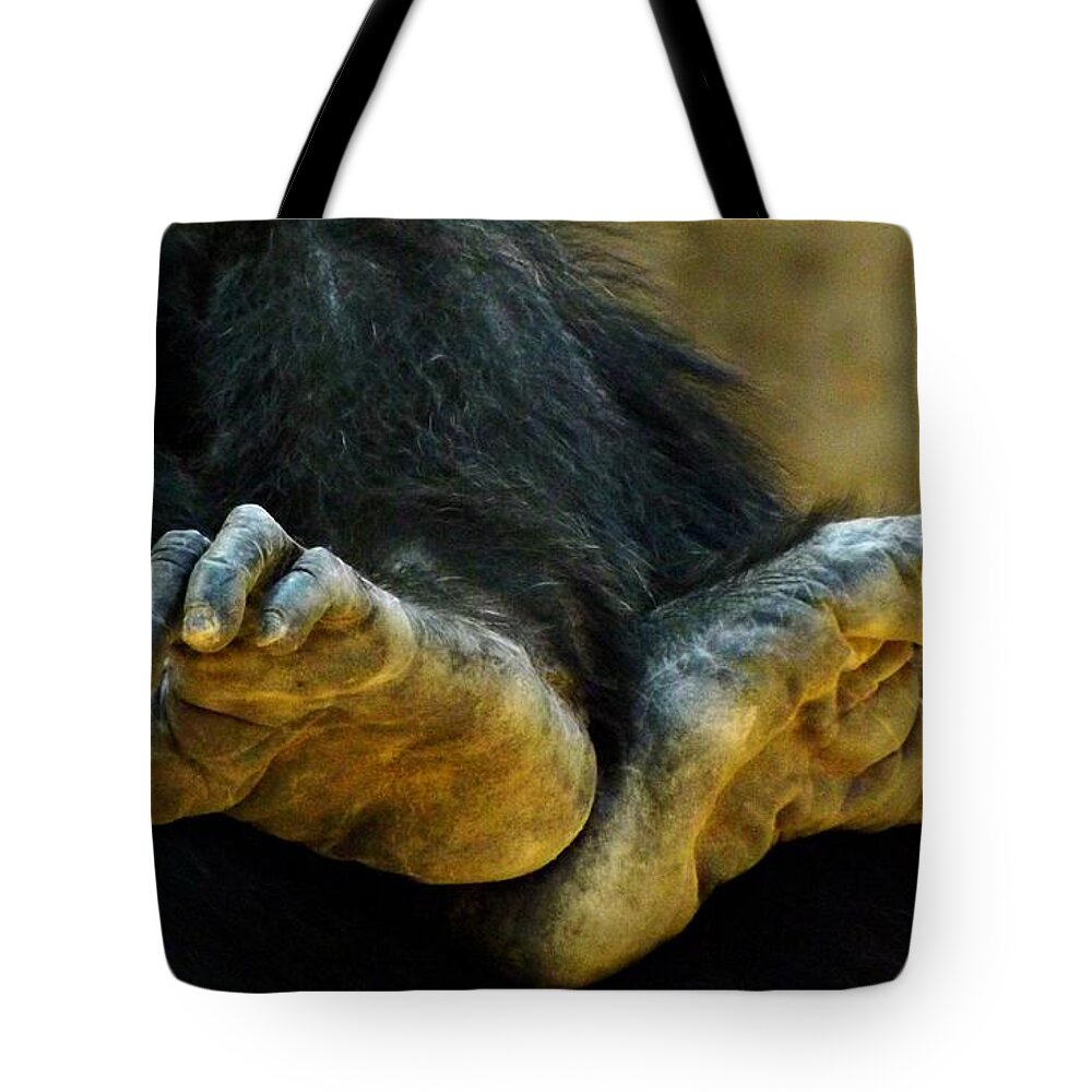 Chimpanzee Tote Bag featuring the photograph Chimpanzee Feet by Clare Bevan
