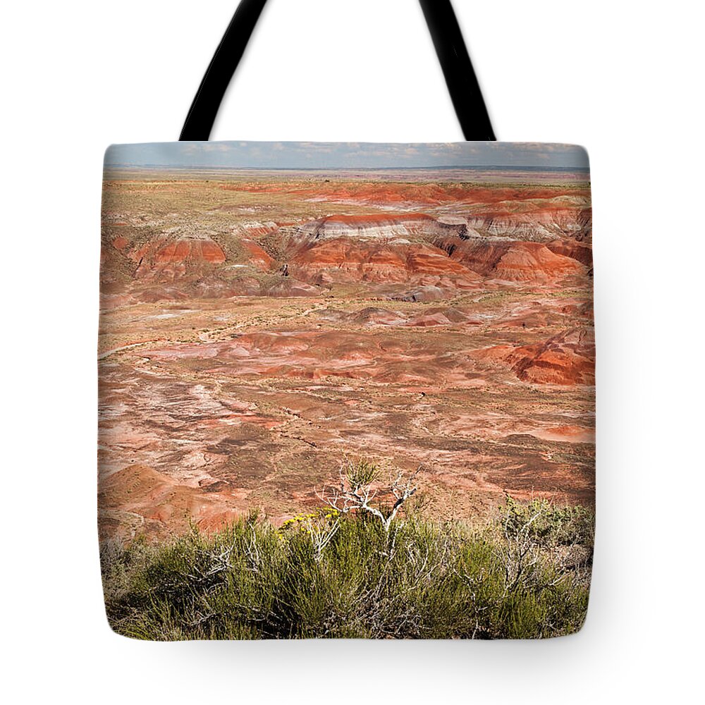 Arizona Tote Bag featuring the photograph Chinde Point Painted Desert Petrified Forest National Park by Fred Stearns