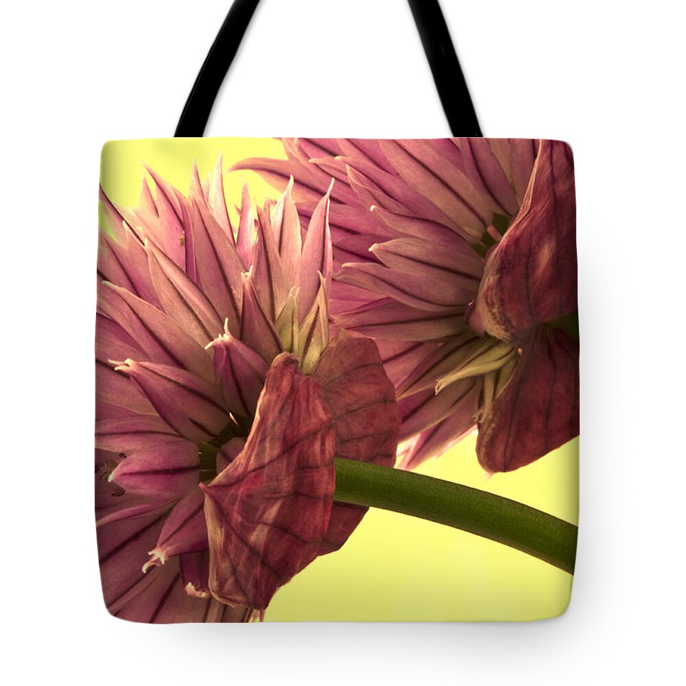 Chive Tote Bag featuring the photograph Chive Macro Beauty by Sandra Foster